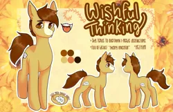 Size: 701x455 | Tagged: safe, artist:loviesophiee, derpibooru import, oc, oc:wishful thinking, earth pony, image, png, reference sheet