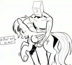 Size: 2894x2601 | Tagged: safe, artist:_ton618_, derpibooru import, rainbow dash, oc, oc:anon, human, pegasus, pony, black and white, blushing, butt, duo, female, grayscale, holding a pony, image, jpeg, looking back, male, mare, monochrome, partial color, plot, rainbutt dash, simple background, smiling, speech bubble, underhoof, white background