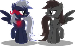 Size: 1024x634 | Tagged: dead source, safe, artist:theshadowstone, derpibooru import, oc, oc:onyx penumbra, oc:shadowstone, original species, pegasus, pony, alternate color palette, amulet, angry, brown eyes, brown mane, brown tail, death stare, duality, duo, duo female, eye mist, female, glare, glow, gray eyes, gritted teeth, image, jewelry, looking at each other, looking at someone, mare, mirrored, one wing out, pegasus oc, pendant, png, raised hoof, shading, shadow, simple background, staring contest, tail, teeth, transparent background, two toned mane, umbra pony, vector, white mane, white tail, wings