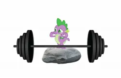 Size: 1800x1168 | Tagged: safe, derpibooru import, spike, dragon, party of one, flexing, image, jpeg, rock, simple background, smiling, solo, weights, white background