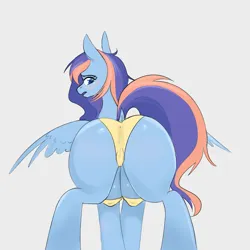 Size: 1935x1935 | Tagged: suggestive, artist:ie nebulizer, derpibooru import, oc, pegasus, pony, blushing, butt, clothes, crotchboobs, female, image, mare, nudity, panties, png, simple background, sketch, solo, underwear