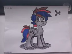 Size: 4080x3060 | Tagged: safe, artist:unyielder, derpibooru import, oc, oc:unyielder, unofficial characters only, pegasus, colored, gray coat, image, jpeg, pegasus oc, shadow, solo, traditional art, wings