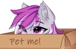 Size: 1283x823 | Tagged: safe, artist:airiniblock, derpibooru import, oc, oc:silver storm, unofficial characters only, pegasus, pony, box, ear fluff, eye, eye clipping through hair, eyebrows, eyebrows visible through hair, eyes, female, image, mare, pegasus oc, png, pony in a box, rcf community, signature, simple background, solo, two toned mane, white background, wings