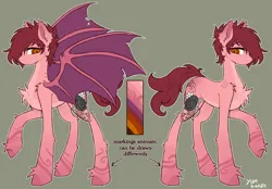 Size: 4342x3021 | Tagged: safe, artist:yumkandie, derpibooru import, oc, oc:northern downpour, bat pony, bat pony oc, bat wings, chest fluff, ear fluff, heterochromia, image, male, png, reference sheet, signature, solo, unshorn fetlocks, wings