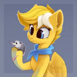 Size: 1200x1200 | Tagged: safe, artist:anti1mozg, derpibooru import, oc, oc:lemon squeezy, unofficial characters only, opossum, pegasus, pony, rat, bandana, female, image, jpeg, mare, solo