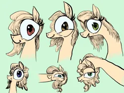 Size: 4000x3000 | Tagged: safe, derpibooru import, oc, unofficial characters only, pony, image, ja0822, neck, png, simple background