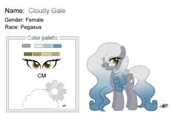 Size: 4544x3000 | Tagged: safe, artist:princessmoonsilver, derpibooru import, oc, oc:cloudy gale, unofficial characters only, pegasus, cutie mark, gradient mane, gradient tail, image, png, reference sheet, simple background, solo, tail, transparent background