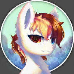 Size: 2000x2000 | Tagged: safe, artist:b_m, derpibooru import, oc, oc:白冥, unofficial characters only, pegasus, pony, bust, communism, image, male, png, solo