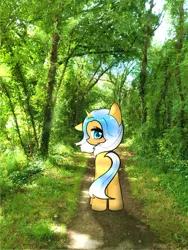 Size: 3000x4000 | Tagged: safe, artist:miwq, derpibooru import, oc, oc:aurore soleilevant, pony, unicorn, forest, image, irl, looking at you, orange coat, photo, png, ponies in real life, solo, tree