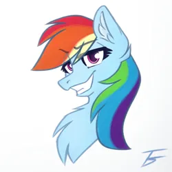 Size: 1920x1920 | Tagged: safe, artist:thefunnysmile, derpibooru import, rainbow dash, pegasus, pony, bust, chest fluff, ear fluff, image, jpeg, portrait, simple background, smiling, smug, solo, white background