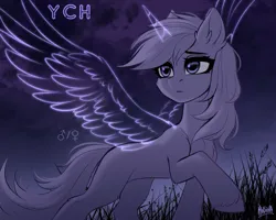 Size: 2500x2000 | Tagged: safe, artist:hakaina, derpibooru import, unnamed character, unnamed pony, oc, unnamed oc, unofficial characters only, alicorn, earth pony, pony, beautiful, chest fluff, colored, commission, concave belly, ear fluff, ethereal horn, ethereal wings, female, female symbol, frown, grass, head turn, head turned, high res, hoof fluff, image, leg fluff, lighting, male symbol, mare, night, night sky, outdoors, png, raised hoof, shading, shiny eyes, signature, sketch, sky, slim, solo, standing, tail, thin, unshorn fetlocks, wind, windswept mane, windswept tail, wings, ych sketch, your character here