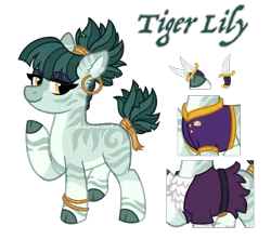 Size: 2600x2300 | Tagged: safe, artist:pink-pone, derpibooru import, oc, oc:tiger lily, earth pony, pony, clothes, cloven hooves, female, image, mare, png, reference sheet, simple background, solo, transparent background