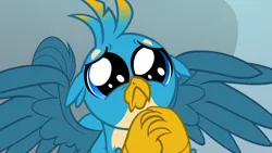 Size: 1920x1080 | Tagged: safe, derpibooru import, screencap, gallus, gryphon, school daze, season 8, spoiler:s08, 1080p, :<, close-up, cute, daaaaaaaaaaaw, dilated pupils, eye shimmer, floppy ears, frown, gallabetes, hnnng, image, looking at you, majestic, male, pleading, please, png, puppy dog eyes, puppy-eyed gallus, sad, sad face, sadorable, solo, spread wings, too cute, weapons-grade cute, wings