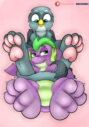 Size: 1611x2286 | Tagged: safe, artist:theinspiredsphynx, derpibooru import, gabby, spike, cuddling, eyebrows, featureless crotch, feet, fetish, foot fetish, image, leaning back, looking at each other, looking at someone, looking at you, looking down, patreon, patreon logo, patreon reward, paws, pink background, png, raised eyebrow, simple background, sitting, smiling