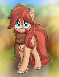 Size: 1500x1950 | Tagged: safe, artist:litrojia, derpibooru import, oc, oc:cottonwood kindle, unofficial characters only, earth pony, pony, autumn, cheek fluff, chest fluff, clothes, ear fluff, earth pony oc, image, looking at you, male, png, scarf, solo, stallion, unshorn fetlocks