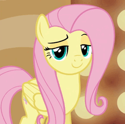 Size: 970x966 | Tagged: safe, derpibooru import, screencap, fluttershy, pegasus, pony, season 6, viva las pegasus, animated, cropped, cute, eyebrows, eyelashes, female, folded wings, happy, image, las pegasus scrunchyshy, looking at you, mare, no sound, reaction image, scrunchy face, shyabetes, smiling, smugshy, solo, weapons-grade cute, webm, wings