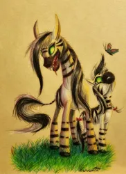 Size: 1749x2401 | Tagged: safe, artist:cahandariella, derpibooru import, oc, oc:cahan, butterfly, insect, pony, zebra, colored, colored pencil drawing, female, foal, grass, green eyes, image, jpeg, mare, sharp teeth, teeth, traditional art, zebra oc