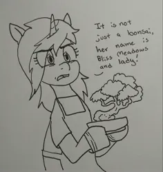 Size: 2073x2200 | Tagged: safe, artist:pony quarantine, derpibooru import, oc:pine shine, pony, unicorn, apron, bonsai, clothes, dialogue, eye clipping through hair, female, grayscale, hoof gloves, hoof hold, image, jpeg, mare, monochrome, solo, talking to viewer, traditional art