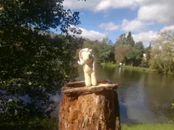 Size: 4032x3024 | Tagged: safe, artist:kuba18i, derpibooru import, fluttershy, pegasus, pony, image, irl, jpeg, lake, outdoors, photo, plushie, poland, ponies in real life, pony plushie, sosnowiec, tree, tree stump, water