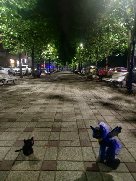 Size: 3024x4032 | Tagged: safe, artist:kuba18i, derpibooru import, princess luna, alicorn, cat, pony, crossover, image, irl, jpeg, luna (sailor moon), namesake, night, outdoors, photo, plushie, poland, ponies in real life, pony plushie, pun, sosnowiec, street, tree, visual pun