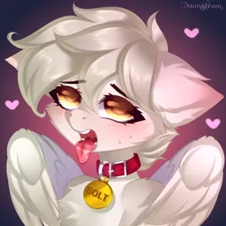 Size: 3000x3000 | Tagged: suggestive, artist:monstrum, derpibooru import, oc, oc:bolt the super pony, pegasus, ahegao, blushing, chest fluff, collar, heart, horny, image, jpeg, open mouth, solo, sweat, tongue out, wings
