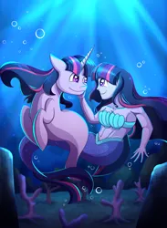 Size: 2200x3000 | Tagged: safe, artist:littletigressda, derpibooru import, sci-twi, twilight sparkle, twilight sparkle (alicorn), alicorn, human, mermaid, pony, seapony (g4), equestria girls, belly, belly button, bra, bubble, caress, clothes, collarbone, colored, commission, coral, crepuscular rays, depth of field, digital art, dorsal fin, female, fish tail, flowing mane, flowing tail, happy, high res, horn, image, lighting, looking at each other, looking at someone, mare, mermaid lovers, mermaid tail, mermaidized, ocean, png, purple eyes, rock, seaponified, seapony twilight, seashell bra, self paradox, self ponidox, shading, smiling, smiling at each other, solo, species swap, sunlight, swimming, tail, underwater, underwear, water, wings