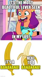 Size: 500x915 | Tagged: safe, artist:flutteryaylove, artist:ravecrocker, derpibooru import, sunny starscout, earth pony, pony, banana, clothes, food, g5, image, imgflip, impact font, jpeg, meme, ponified meme, shirt, text