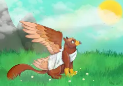 Size: 2360x1640 | Tagged: safe, artist:marsbars3365, derpibooru import, oc, oc:pavlos, unofficial characters only, gryphon, broken wing, cast, chest fluff, eared griffon, griffon oc, image, injured, jpeg, sad, sling, wing cast, wing sling, wings