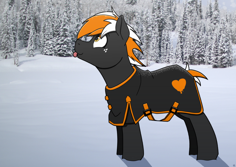 Size: 3508x2480 | Tagged: safe, artist:sefastpone, derpibooru import, oc, oc:se, unofficial characters only, earth pony, pony, clothes, freckles, horse blanket, image, jacket, male, png, real life background, snow, stallion, tongue out, winter