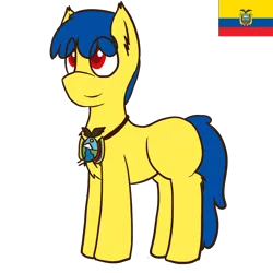 Size: 1000x1000 | Tagged: safe, artist:ask-ponyvenezuela, derpibooru import, oc, ponified, pony, ecuador, image, male, nation ponies, png, simple background, solo, transparent background