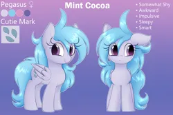 Size: 2400x1600 | Tagged: safe, artist:illusion, derpibooru import, oc, oc:mint cocoa, pegasus, abstract background, female, image, png, reference sheet, solo, text
