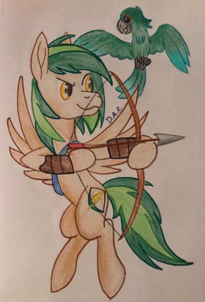 Size: 1352x1990 | Tagged: safe, artist:gracefulart693, derpibooru import, oc, unofficial characters only, bird, parrot, pegasus, pony, arrow, bow (weapon), bow and arrow, duo, hoof hold, image, jpeg, male, pegasus oc, smiling, smirk, stallion, traditional art, weapon, wings