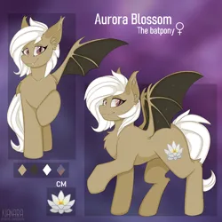 Size: 3000x3000 | Tagged: safe, artist:kianara, derpibooru import, oc, oc:aurora blossom, unofficial characters only, bat pony, pony, bat pony oc, bat wings, female, image, mare, png, reference sheet, solo, wings