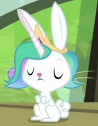 Size: 718x925 | Tagged: safe, derpibooru import, edit, edited screencap, screencap, angel bunny, princess celestia, rabbit, testing testing 1-2-3, angelestia, animal, cropped, crown, eyes closed, horn, image, jewelry, jpeg, princess, regalia, solo