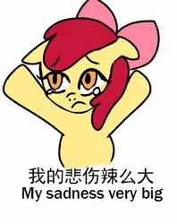Size: 392x495 | Tagged: safe, anonymous artist, derpibooru import, apple bloom, ponified, earth pony, pony, crying, engrish, female, filly, floppy ears, foal, frown, image, japanese, jpeg, meme, moon runes, ponified meme, raised hoof, raised hooves, simple background, solo, text, white background