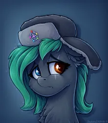 Size: 968x1095 | Tagged: safe, artist:zeepheru_pone, derpibooru import, oc, oc:colour field, unofficial characters only, earth pony, pony, chest fluff, eye scar, facial scar, female, floppy ears, hat, image, looking at you, mare, png, sad, scar, solo, ushanka