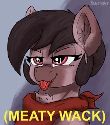 Size: 1191x1353 | Tagged: safe, artist:reddthebat, derpibooru import, oc, oc:number nine, unofficial characters only, earth pony, pony, bust, caption, chest fluff, ear fluff, earth pony oc, female, image, jpeg, lidded eyes, mare, neckerchief, solo, text, tongue out