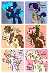 Size: 1200x1800 | Tagged: safe, artist:rainbowrocksadopts, derpibooru import, oc, oc:apple bread pudding, oc:apple petals, oc:celestial morning, oc:elegant quisine, oc:ice cream dreams, oc:twister blast, unofficial characters only, earth pony, pegasus, pony, amputee, bow, chest fluff, clothes, ear piercing, earring, earth pony oc, female, flower, flower in hair, freckles, frown, hair bow, image, jewelry, jpeg, male, mare, necklace, next generation, offspring, parent:applejack, parent:big macintosh, parent:caramel, parent:cheese sandwich, parent:flash sentry, parent:fluttershy, parent:pinkie pie, parent:rainbow dash, parent:rarity, parent:soarin', parent:thunderlane, parent:twilight sparkle, parents:carajack, parents:cheesepie, parents:flashlight, parents:fluttermac, parents:rarilane, parents:soarindash, peg leg, pegasus oc, piercing, prosthetic leg, prosthetic limb, prosthetics, smiling, stallion, stubble, sweater, wings