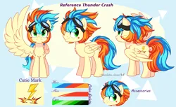 Size: 3448x2116 | Tagged: safe, artist:2pandita, derpibooru import, oc, oc:thunder crash, unofficial characters only, pegasus, pony, goggles, image, male, png, reference sheet, solo, stallion