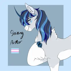 Size: 2000x2000 | Tagged: safe, artist:inisealga, derpibooru import, shining armor, pony, unicorn, chest fluff, coat markings, colored hooves, facial markings, headcanon, image, jpeg, markings, mouthpiece, neck fluff, pride, pride flag, redesign, socks (coat marking), solo, trans mare shining armor, transgender, transgender pride flag