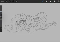 Size: 2048x1423 | Tagged: safe, artist:leadhooves, derpibooru import, fluttershy, pegasus, pony, female, gray background, grayscale, image, mare, monochrome, png, simple background, sketch, solo