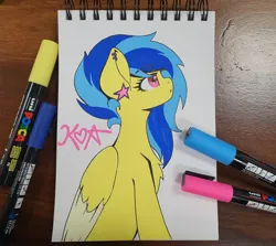 Size: 2048x1829 | Tagged: safe, artist:koa, artist:koapony, derpibooru import, oc, oc:koa, unofficial characters only, pegasus, pony, image, jpeg, traditional art