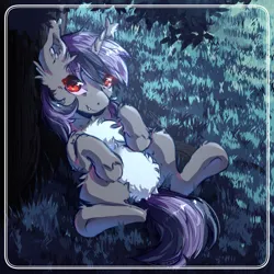 Size: 3000x3000 | Tagged: safe, artist:lonelyghost, derpibooru import, oc, oc:dreaming star, bat pony, bat pony unicorn, hybrid, pony, unicorn, bat pony oc, bat wings, belly, belly fluff, chest fluff, commission, cute, fangs, featureless crotch, grass, grass field, horn, image, jpeg, lying down, male, moonlight, night, ocbetes, on back, outdoors, pale belly, red eyes, stallion, tail, tail between legs, wings