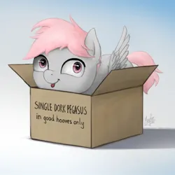 Size: 1300x1300 | Tagged: safe, artist:magfen, derpibooru import, oc, oc:cotton puff, pegasus, pony, :p, box, cute, dork, image, jpeg, pony in a box, simple background, solo, tongue out