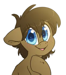 Size: 2415x2739 | Tagged: safe, artist:fluffyxai, derpibooru import, oc, oc:spirit wind, unofficial characters only, earth pony, pony, image, looking at you, male, png, smiling, solo, stallion