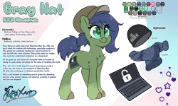Size: 4000x2400 | Tagged: safe, artist:fluffyxai, derpibooru import, oc, oc:gray hat, unofficial characters only, earth pony, accessories, g5, g5 oc, image, png, reference sheet, solo
