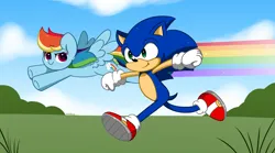 Size: 6032x3344 | Tagged: safe, artist:kittyrosie, derpibooru import, rainbow dash, pegasus, pony, absurd resolution, clothes, cloud, fast, flying, gloves, grass, image, png, race, rainbow, running, shoes, sky, sonic the hedgehog, sonic the hedgehog (series)