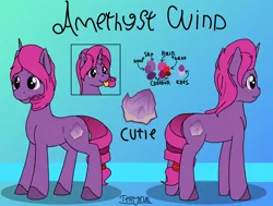 Size: 2120x1600 | Tagged: safe, artist:terminalhash, derpibooru import, oc, oc:amethyst wind, unicorn, fanfic:the enchanted library, cutie mark, female, gradient background, image, png, reference sheet