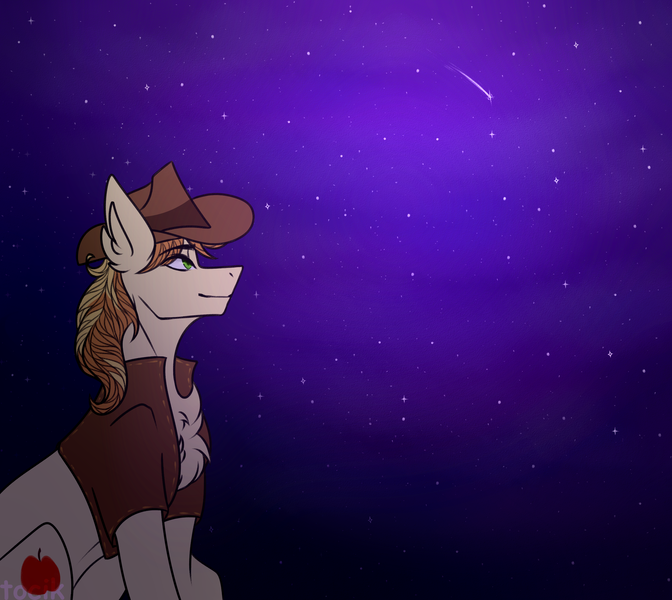 Size: 2600x2322 | Tagged: safe, artist:tocik, derpibooru import, braeburn, earth pony, pony, clothes, commission, hat, image, looking up, male, night, png, shooting star, sitting, smiling, solo, stallion, two toned mane, vest, ych result