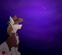 Size: 2600x2322 | Tagged: safe, artist:tocik, derpibooru import, braeburn, earth pony, pony, clothes, commission, hat, image, looking up, male, night, png, shooting star, sitting, smiling, solo, stallion, two toned mane, vest, ych result